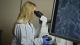 Student Studying Forensic Science With Microscope
