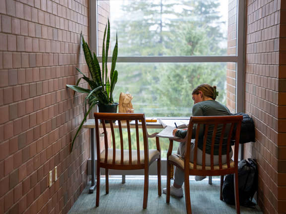 Student studies at window